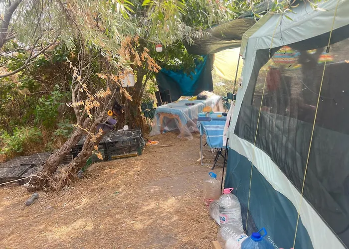 палатка на кара дере Glamping